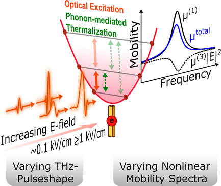 THz Response of Charge Carriers in Nanoparticles